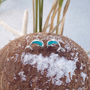 Dolphin Stud Earrings displayed on top of a dried coconut.