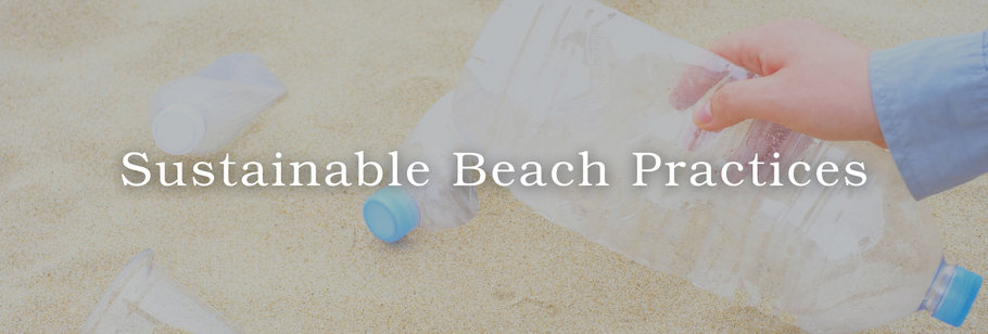 Sustainable Beach Practices   How to Enjoy the Shore Responsibly