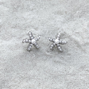 Dainty Pearl Starfish Stud Earrings are displayed on a sandy surfcae.